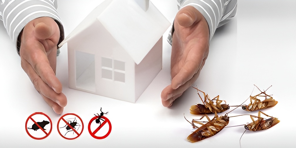 Contact Supreme Pest Control Dublin, Professional Exterminators