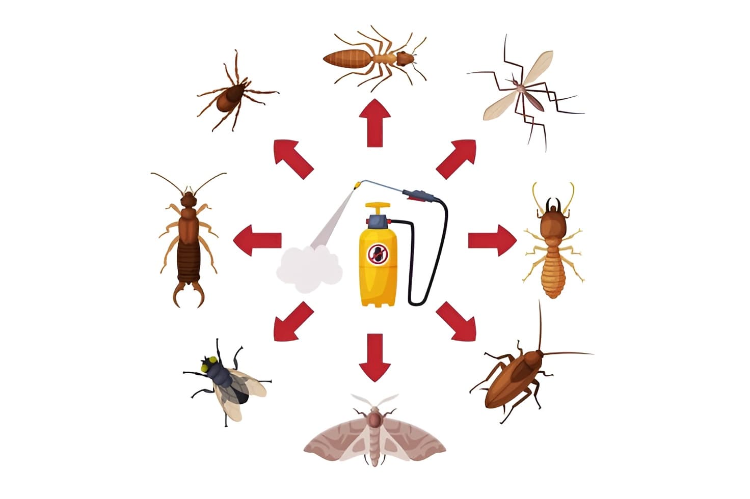 Restaurant pest control service Dublin — HACCP compliant commercial kitchen inspection