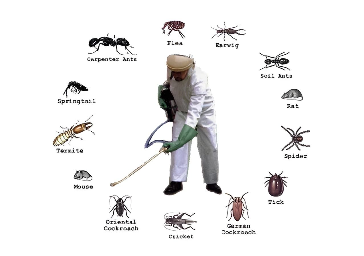 Commercial pest control Dublin