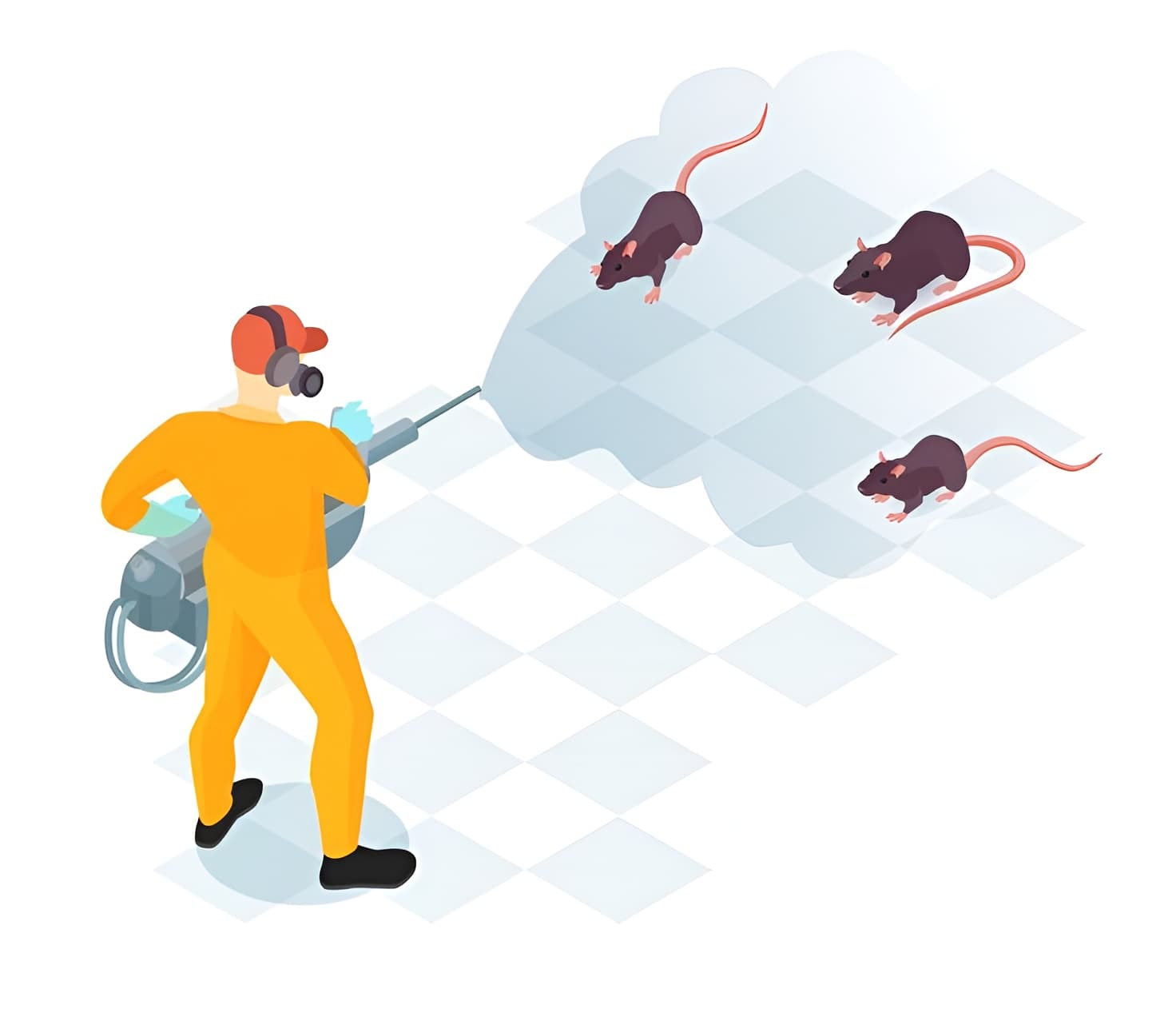 Best mice exterminators and removal services in Dublin