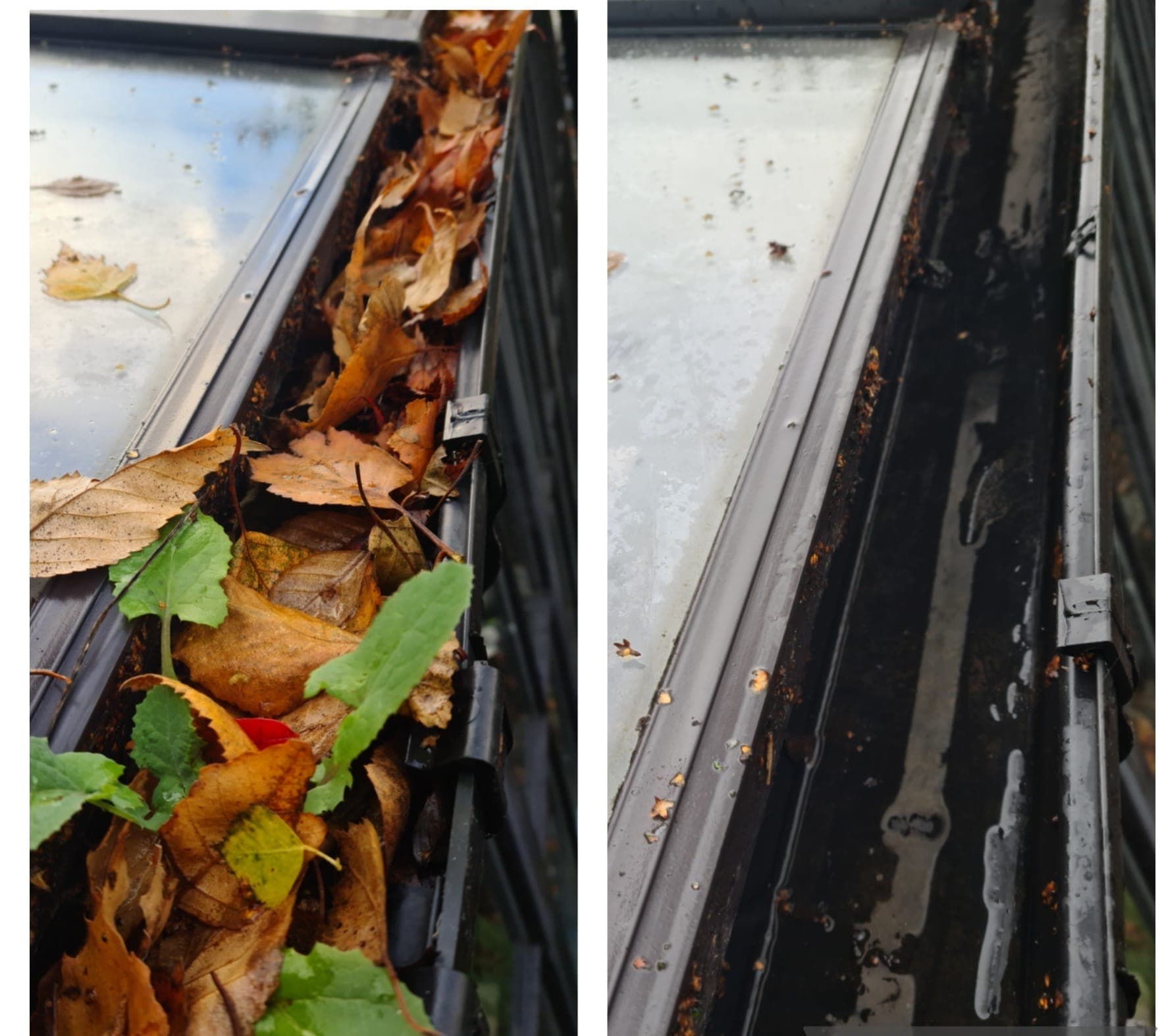 Before and after conservatory and glass roof gutter cleaning in Dublin