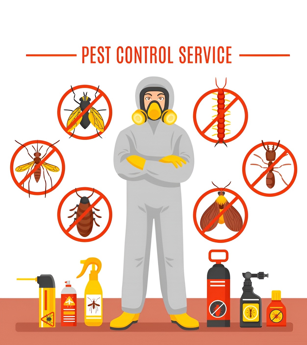 Professional pest control spray treatment in Dublin home by certified exterminator