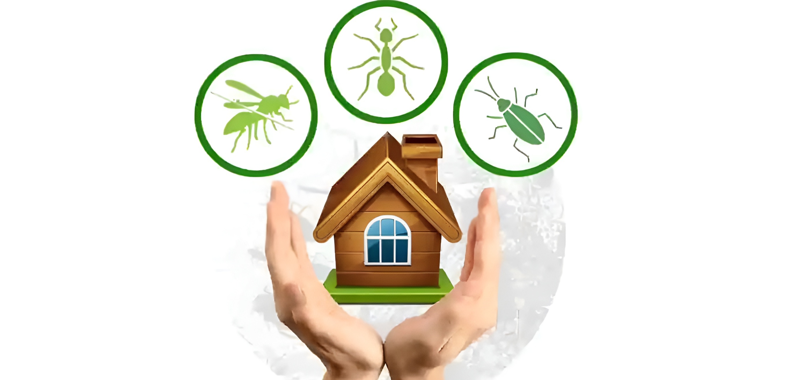 Best pest removal services in Dublin for homes and businesses